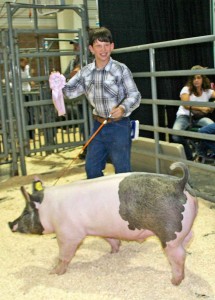 Kelden Cook shows off his ribbon and one of his three pigs at the Larimer County Junior Livestock Show at this year’s Larimer County Fair. Kelden received two second-place market swine, in the heavy and medium weight divisions, and a first place in the market swine light weight division. His first-place pig went on to receive reserve champion in the light-market division. And that was a pretty cool way to end the livestock show this year. Becky Justice-Hemmann / The Surveyor 