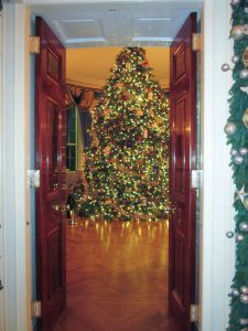 The offi cial White House Christmas tree pictured through the doors to the Blue Room, where a tree has been on display each holiday since 1909.