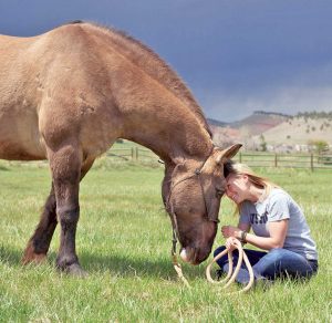 A veteran participating in the Hearts & Horses for Heroes program enjoys a moment with a horse.  Photo courtesy of Hearts and Horses for Heroes Inc. 