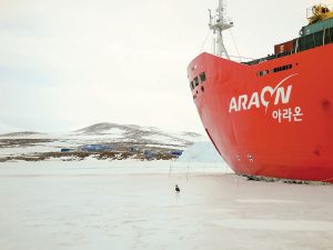 The sponsor for Bullett’s work in Antarctica was the Korean Polar Research Institute (KOPRI) who used the Araon to travel to the remote continent.  photo courtesy of Terry Bullett  