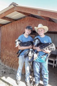 Kira Scoma, 12, and her brother Tucker Scoma, 14, hold two of their week-old Nubian goats. Guests at Guided Hope can enjoy the goats, along with horses, cows, chickens, ducks, rabbits, and llamas during their visits. Photo by Katie Harris / The Surveyor