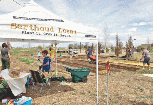 Berthoud Local breaks ground at community  garden, announces new features for Farmers’ Market