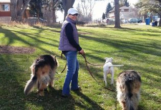 New business offers pet-sitting, dog-walking and more