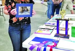 Beautifully ordinary: First year in 4-H results in major wins for young photographer