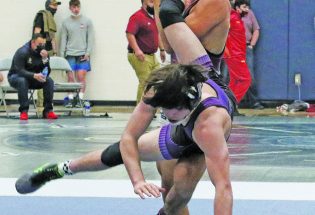Three Spartans win medals at state wrestling championship