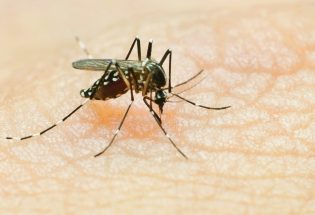 First cases of West Nile Virus detected in Larimer County