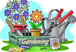 Local church encourages gardening with Gardeners Swap