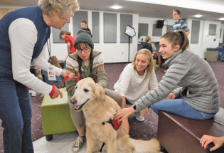 HABIC seeks volunteers for animal therapy teams